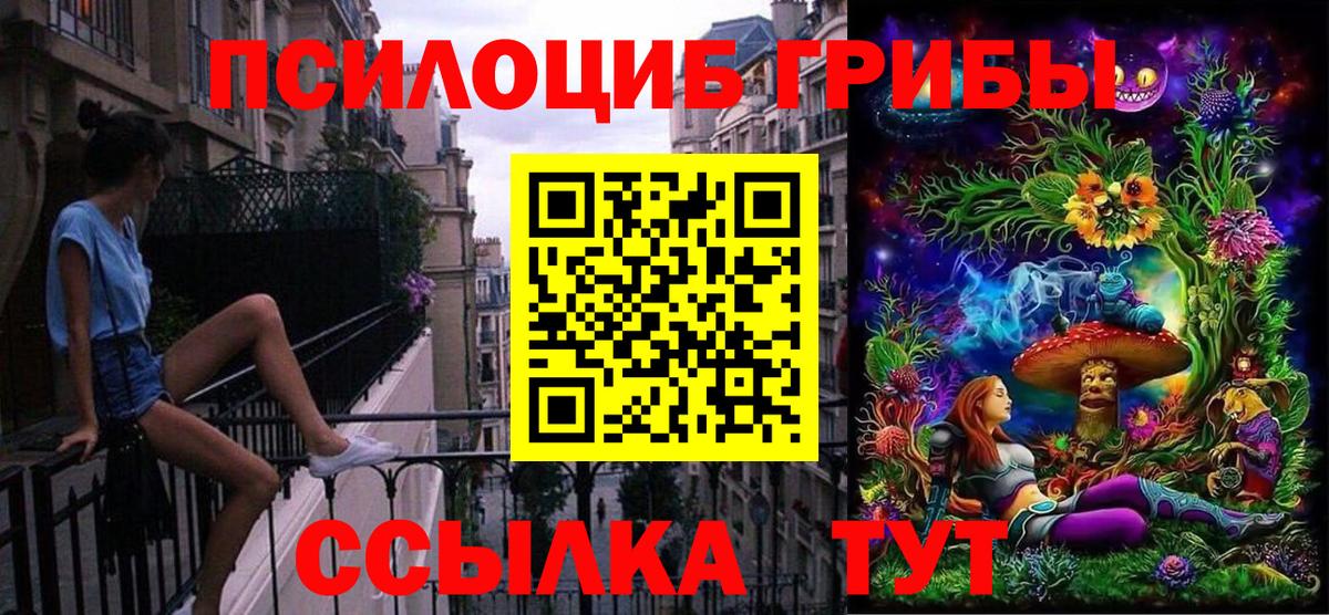 Псилоцибиновые грибы прущие грибы Ноябрьск