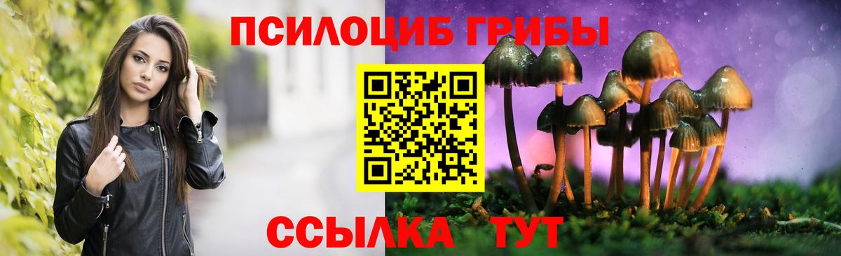Галлюциногенные грибы Cubensis  Вход с VPN  Ноябрьск  Галлюциногенные грибы MAGIC MUSHROOMS 